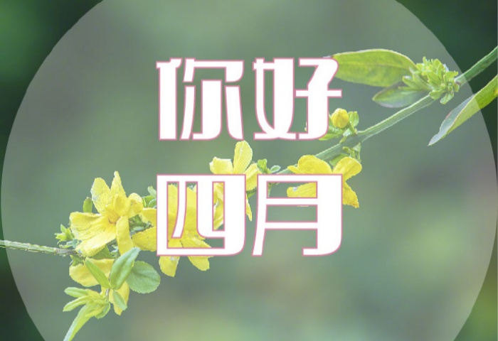 4 月裝修，錯過等一年！青島業(yè)主必看的裝修黃金時機?